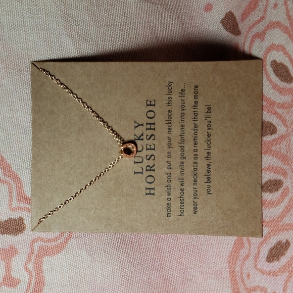 Lucky Horseshoe Necklace Horse Cowgirl Western Country Vaquera Dainty Minimalist - Picture 13 of 13